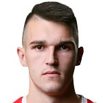 兹拉坦诺维奇头像,兹拉坦诺维奇图片