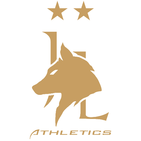 南京雨莘队标,南京雨莘图片